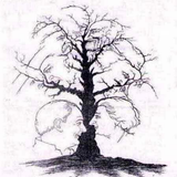 com.elhaghi.omid.treespaintingtest