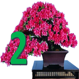 meisam.alinia.salamatgoldon2