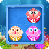 saibork.team.fishpuzll