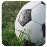 ir.tinasoft.football_training