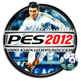 com.SandSprogrammingGroup.pes2012