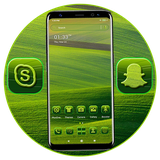 alice.green.field.theme