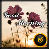 com.mydeveloper.goodmorningflowers