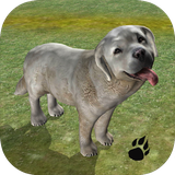 com.wildfoot.sheepdog.sim