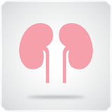 org.ne.da.asmo.kolie