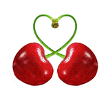 com.appchar.store.wooroozipak