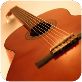 mshma.gitaristvabasestha