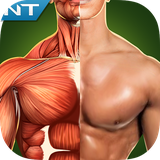 buy.delneshin.badanensan