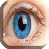 com.papole.sg.moraghebatcheshm