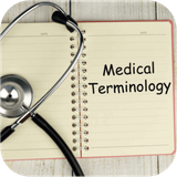 ir.abbaszadeh.prefixandsuffixinmt