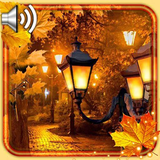 com.elensweetmood12.autumnparklivewallpaper