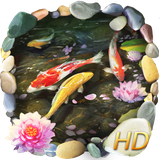 live.wallpaper.t910000756