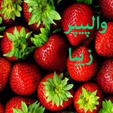 farshad.kalhor.app.wallpaper