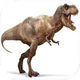 folad.daynasorhayorupa