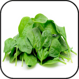 com.monaahmadi.esfenaj