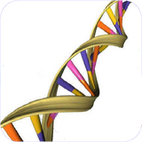 ghah.bimarihayegenetiki