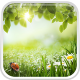 com.GreenSpringLiveWallpaperHQ