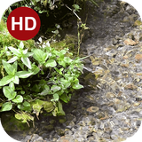 ir.hmh.PeaceLiveWallpaper_33_free