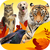 ir.tinasoft.animals_knowledge_2