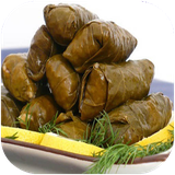 shafagh.dolmevakoftevakoko