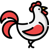 com.zdivdev.ebook.advbash