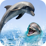 com.sb.dolphin.fish.livewallpaper.mobiletheme