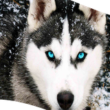 com.anjelapp.photogorg