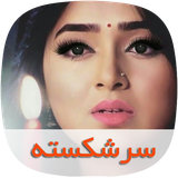 com.skycomping.sarshekastehtapad