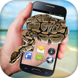 com.redgames.marroyesafhe