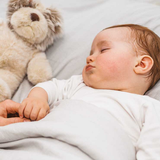 paradise.brightstar.lalaei