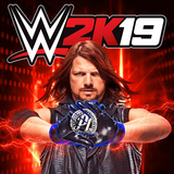 com.SandSprogrammingGroup.WWE2k19
