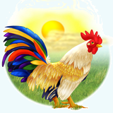 bahar.ahmai.p.wallpaper_khoros_vagt_shenas