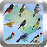 appinventor.ai_rodrigo2017.cantodepassarosbrasileiros