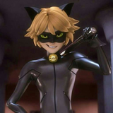 app.wallpaper.blackcat