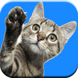 com.andromo.dev442382.app410128