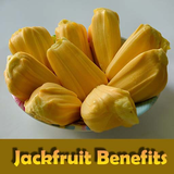 com.healthybytes.jackfruit.jackfruitbenefits