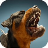 com.andromo.dev230101.app216860