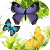 com.rubbishcollector.butterflylivewallpaper