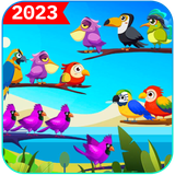 rvqx.puzzlesbirds.sortbirdcolor.sopubi.com