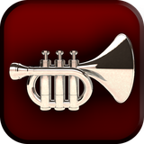 com.learntomaster.trumpet.songs