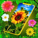 sun.flower.live.wallpaper