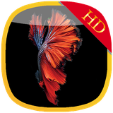 com.glh3.ios10wallpaper