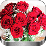 com.floresyrosas.bonitas