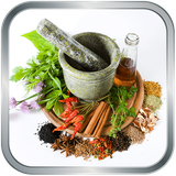 ir.hooshima.giahandarooee