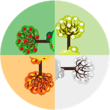 ir.aryaapp.bestwidget