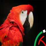 com.example.Cleverbirds