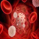 com.faghragha.soft.ofonat