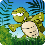 com.scynolion.turtletrails