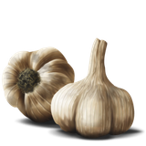 com.persia.khavas_sir