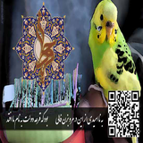 ir.darband.iran2017.fal_estekhare